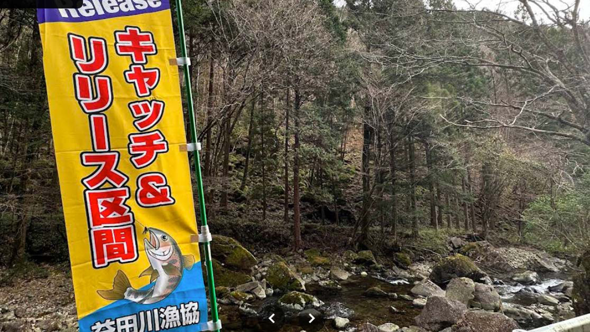 久野川キャッチ&リリース釣り場