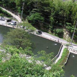 千早川ます釣り場