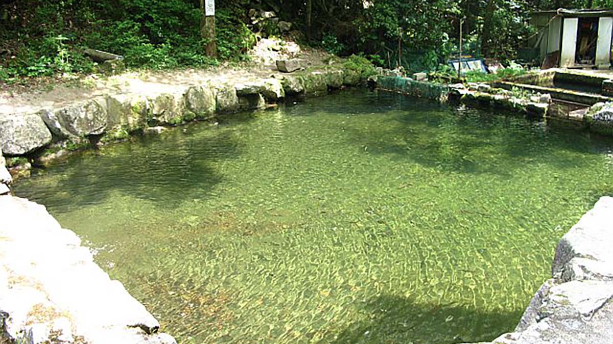 南原峡国際釣り場