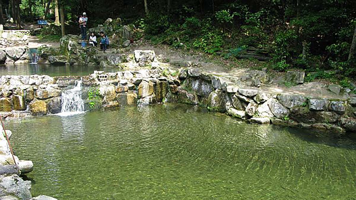 南原峡国際釣り場