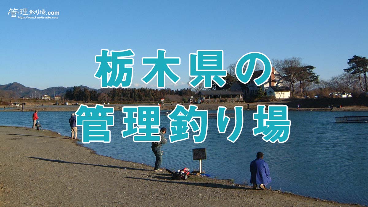 栃木県のトラウト管理釣り場