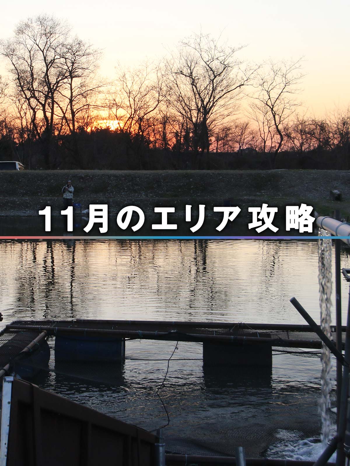 管理釣り場ドットコム 11月のエリア攻略