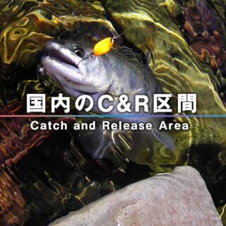 C&R区間・エリア