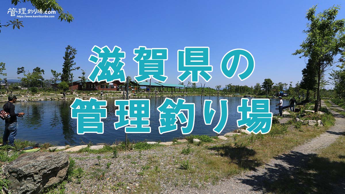 滋賀県のトラウトルアー＆フライ管理釣り場、にじます釣堀