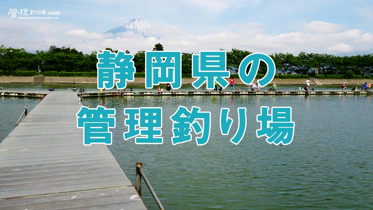 静岡県のトラウト管理釣り場、C&Rエリア