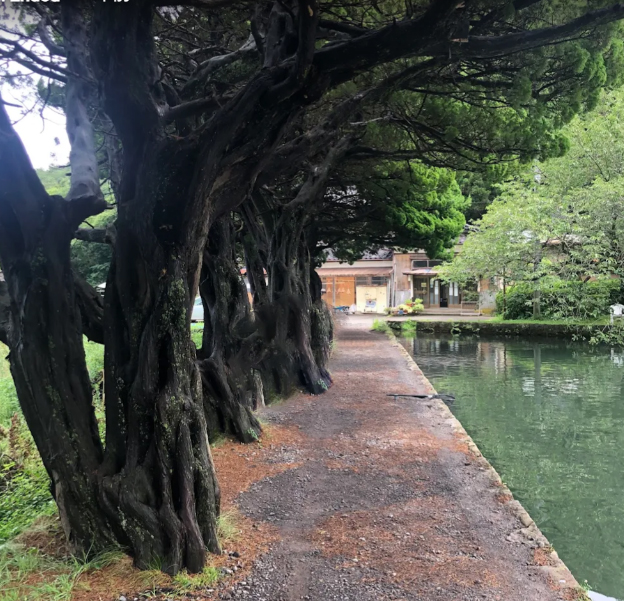 上浜つり堀センター