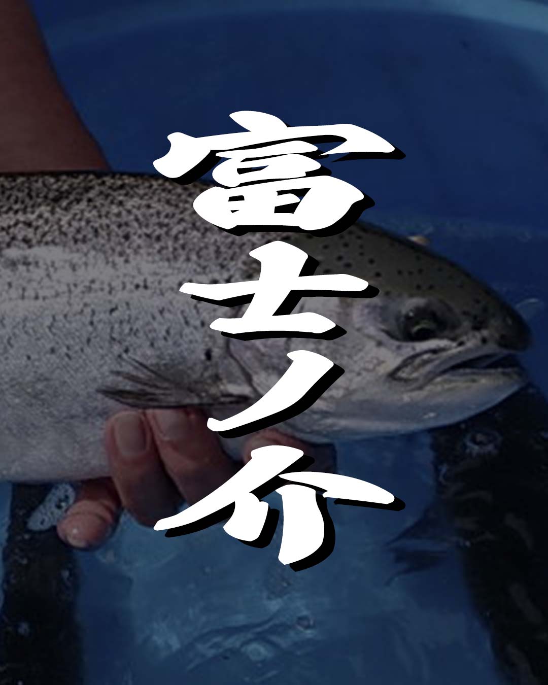 キングサーモンｘニジマス。話題の高級魚『富士の介』が釣れる！管理釣り場一覧を紹介します