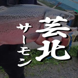 芸北サーモン
