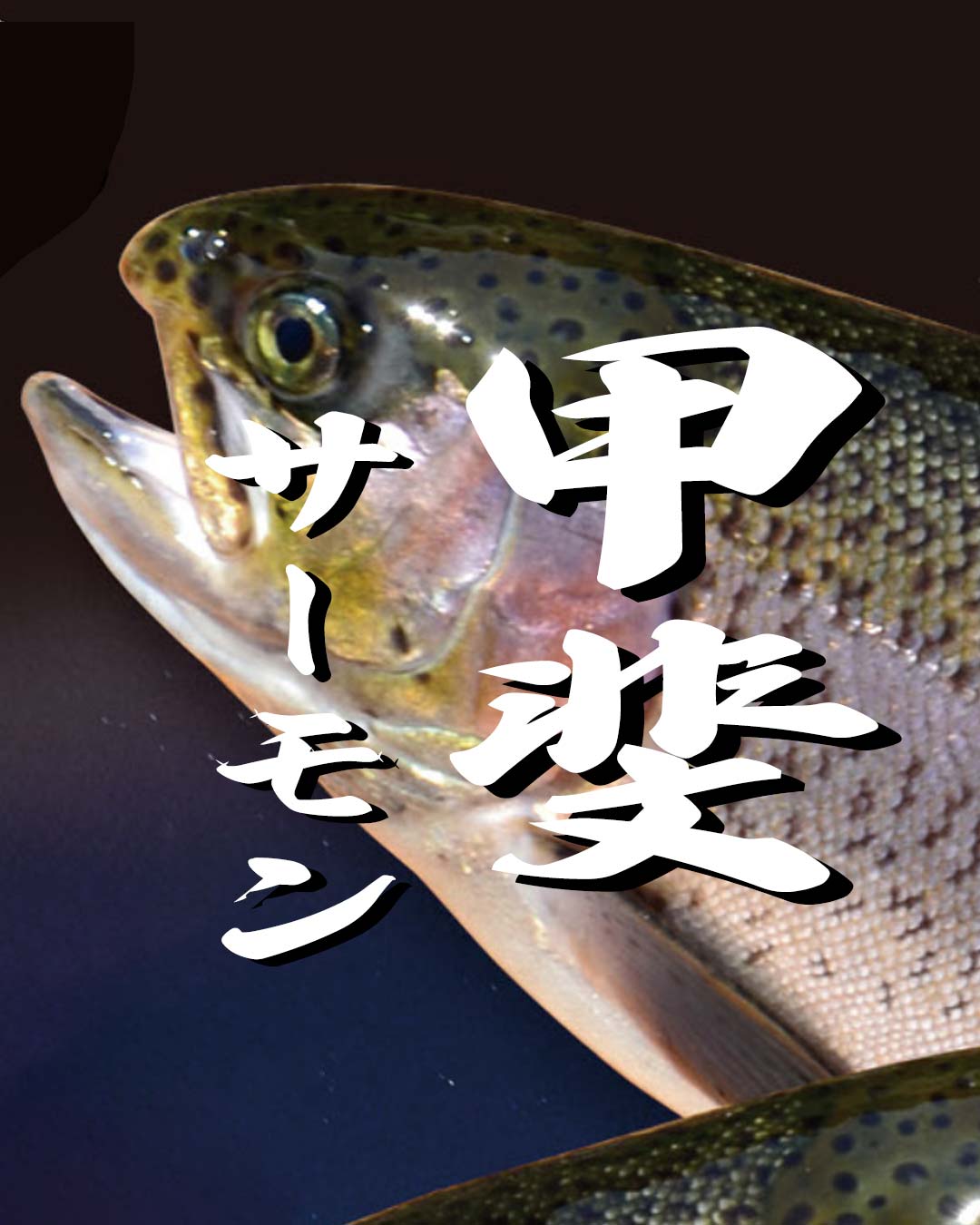 甲斐サーモンを放流している管理釣り場