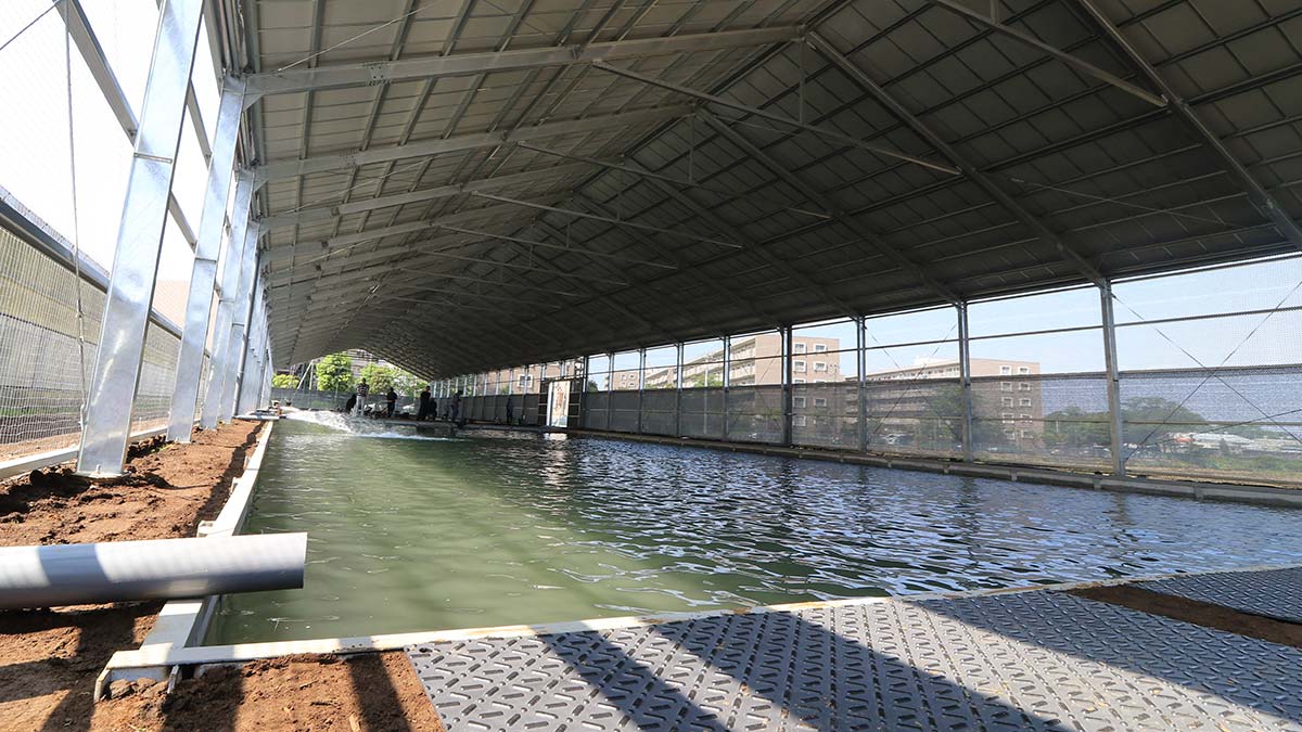 座間養魚場アメイズトラウトエリア